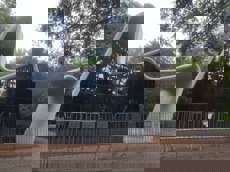 ГП16865568.Нестационарный объект_Павильон.Внешний вид объекта.jpg