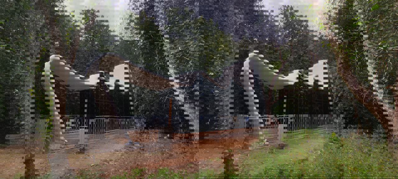 ГП16977670.Нестационарный объект_Павильон.Общий вид объекта.jpg