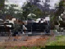 ГП16977670.Нестационарный объект_Павильон.Общий вид объекта.jpg