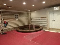 ГП16950135.Недвижимое имущество.Общий вид объекта_8.jpg