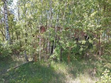 ГП16918553.Здание.Помещения, входящие в состав реализуемого объекта_7.jpg