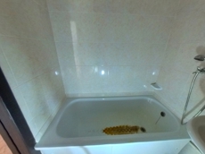 ГП16966431.Квартира.Каждое помещение_комната, входящее в состав реализуемого объекта _7.jpg