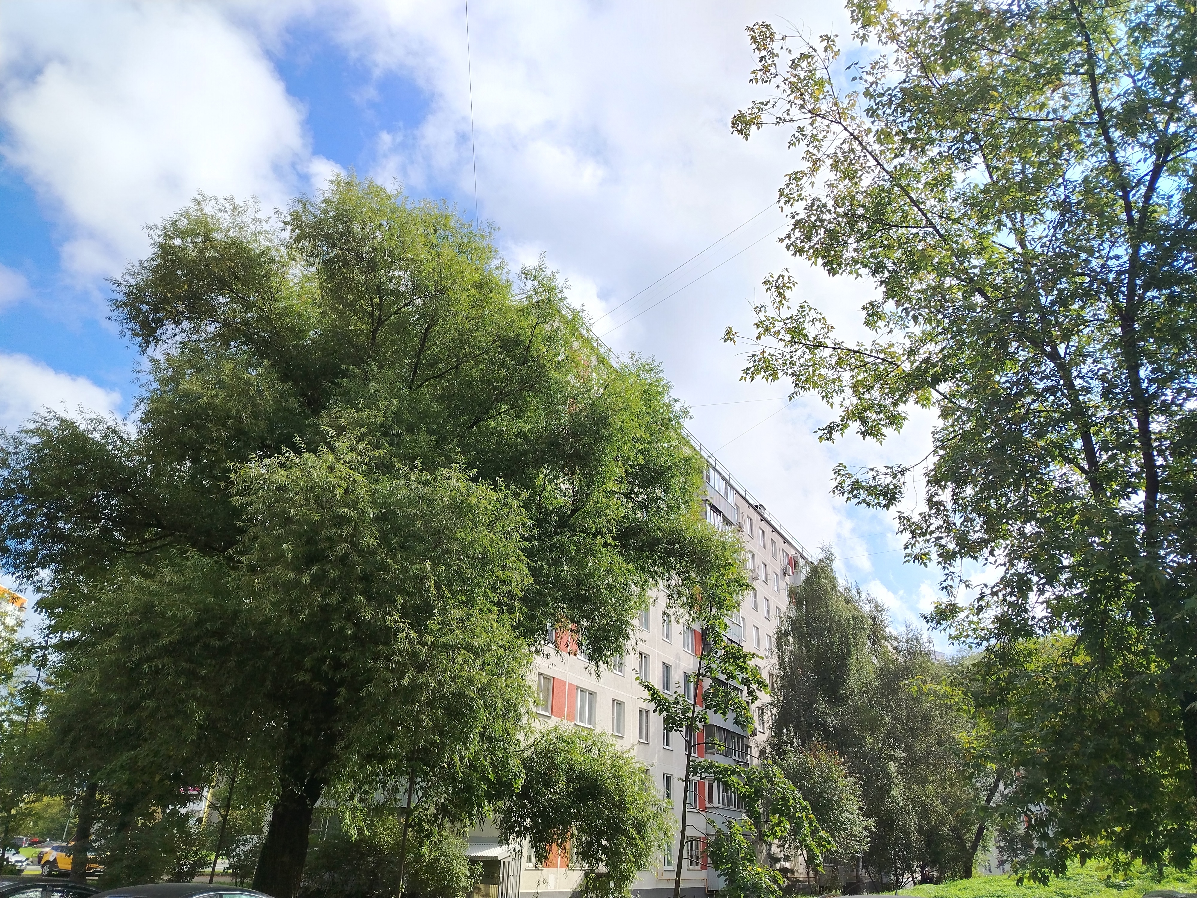 ГП16966431.Квартира.Общий фасад здания_5.jpg