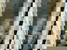 ГП16932013.Здание.Помещения, входящие в состав реализуемого объекта_6.jpeg