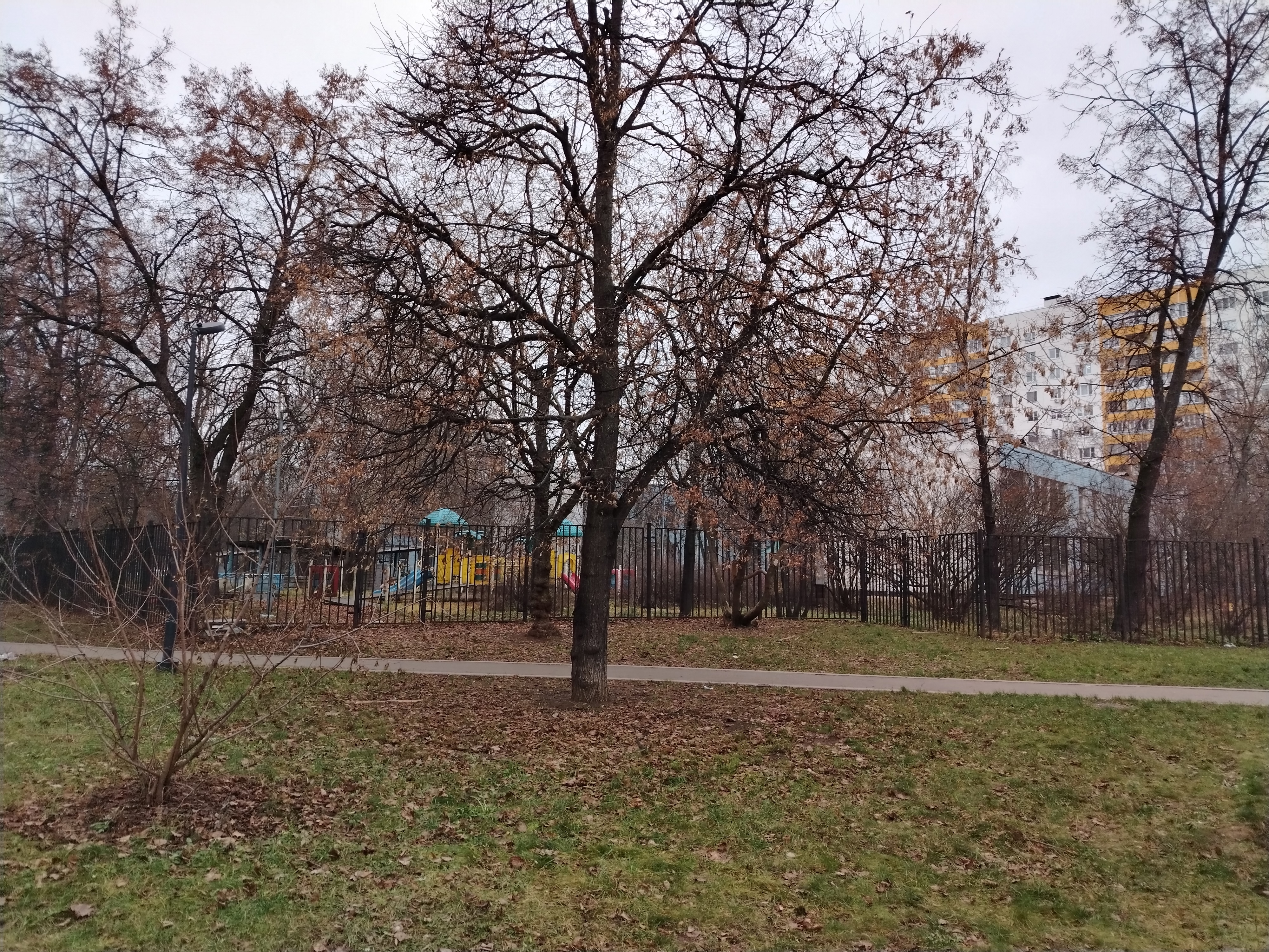 ГП16952639.Здание.Общий фасад здания_10.jpg