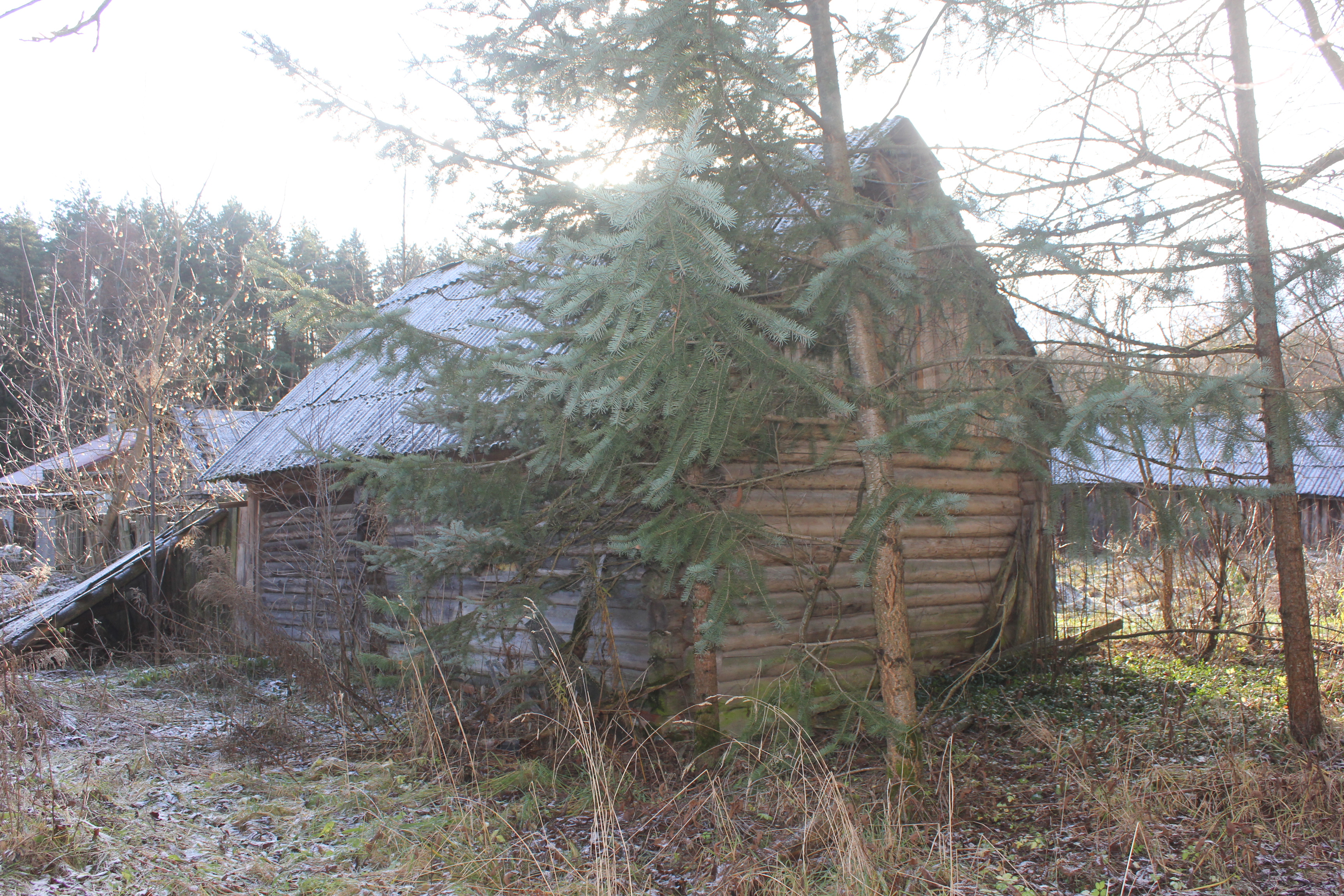 ГП16974855.Здание.Помещения, входящие в состав реализуемого объекта_10.jpg