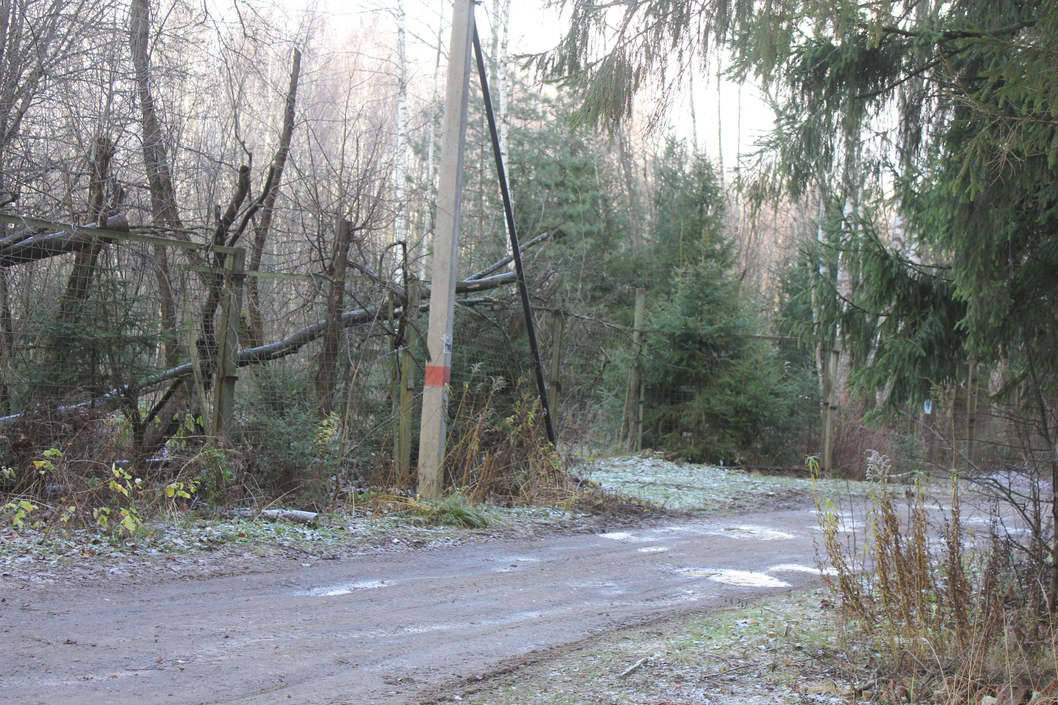 ГП16974855.Здание.Подъездные пути.jpg