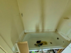 ГП16975024.Квартира.Каждое помещение_комната, входящее в состав реализуемого объекта _10.jpg