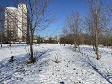 ГП16982065.Некапитальный объект.Общий вид объекта_10.jpg