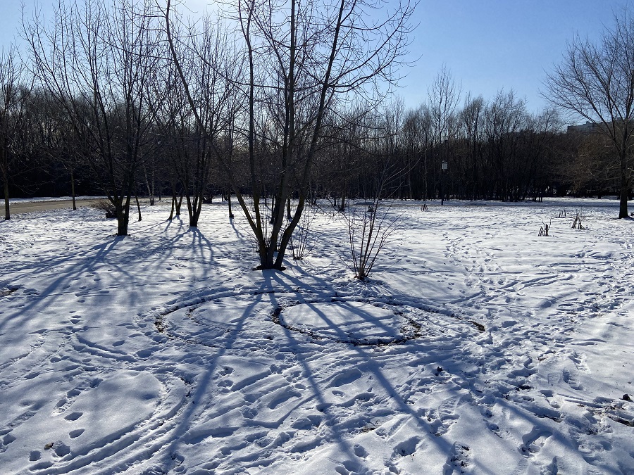 ГП16982065.Некапитальный объект.Общий вид объекта_8.jpg