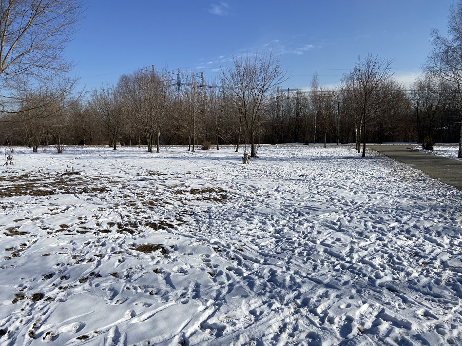 ГП16982065.Некапитальный объект.Общий вид объекта_10.jpg