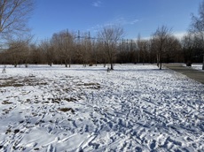 ГП16982065.Некапитальный объект.Общий вид объекта_10.jpg