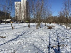 ГП16982065.Некапитальный объект.Общий вид объекта_9.jpg