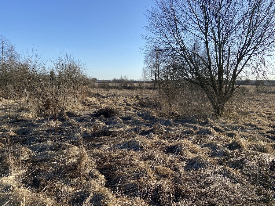 ГП16982068.Некапитальный объект.Общий вид объекта_3.jpg