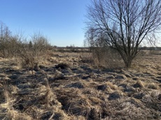 ГП16982068.Некапитальный объект.Общий вид объекта_3.jpg