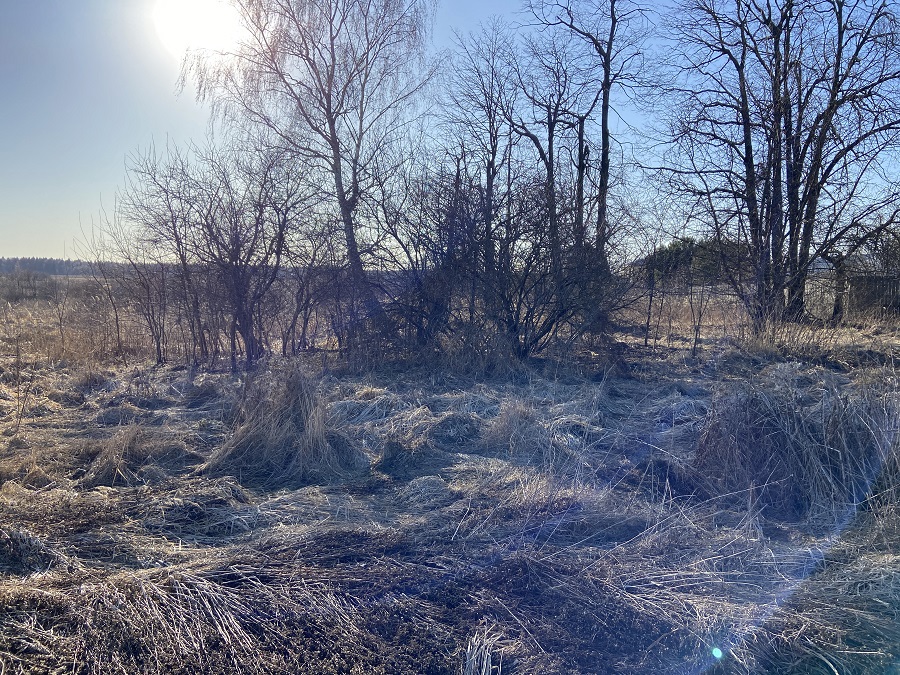 ГП16982068.Некапитальный объект.Общий вид объекта_2.jpg