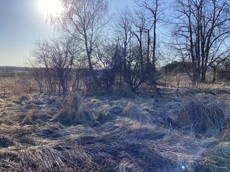 ГП16982068.Некапитальный объект.Общий вид объекта_2.jpg