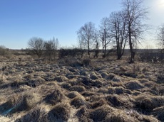 ГП16982068.Некапитальный объект.Общий вид объекта.jpg