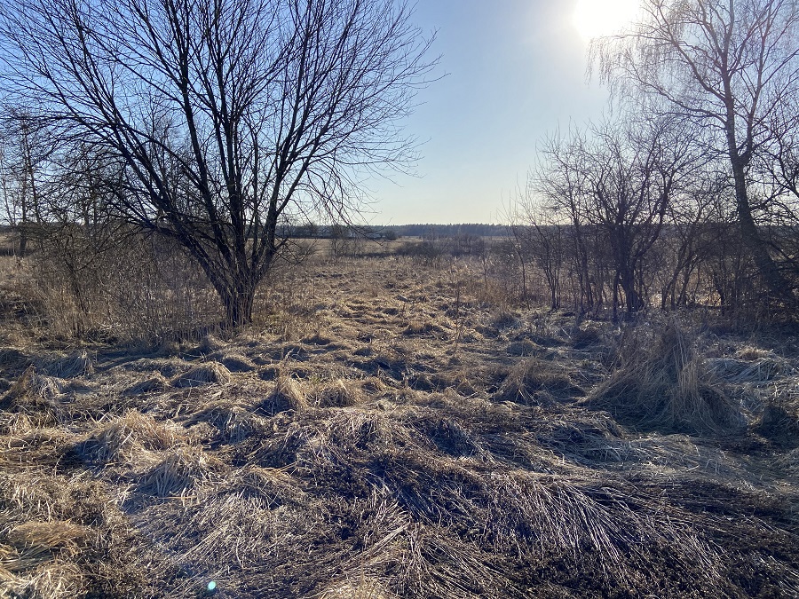 ГП16982068.Некапитальный объект.Общий вид объекта_4.jpg