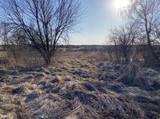 ГП16982068.Некапитальный объект.Общий вид объекта_4.jpg