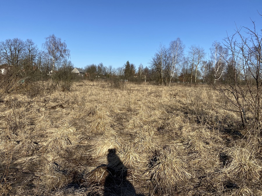 ГП16982068.Некапитальный объект.Общий вид объекта_10.jpg