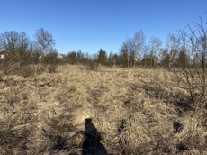 ГП16982068.Некапитальный объект.Общий вид объекта_10.jpg