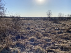 ГП16982068.Некапитальный объект.Общий вид объекта_6.jpg