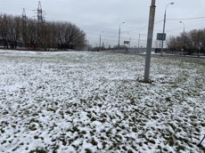 ГП16959586.Некапитальный объект.Общий вид объекта_10.jpg