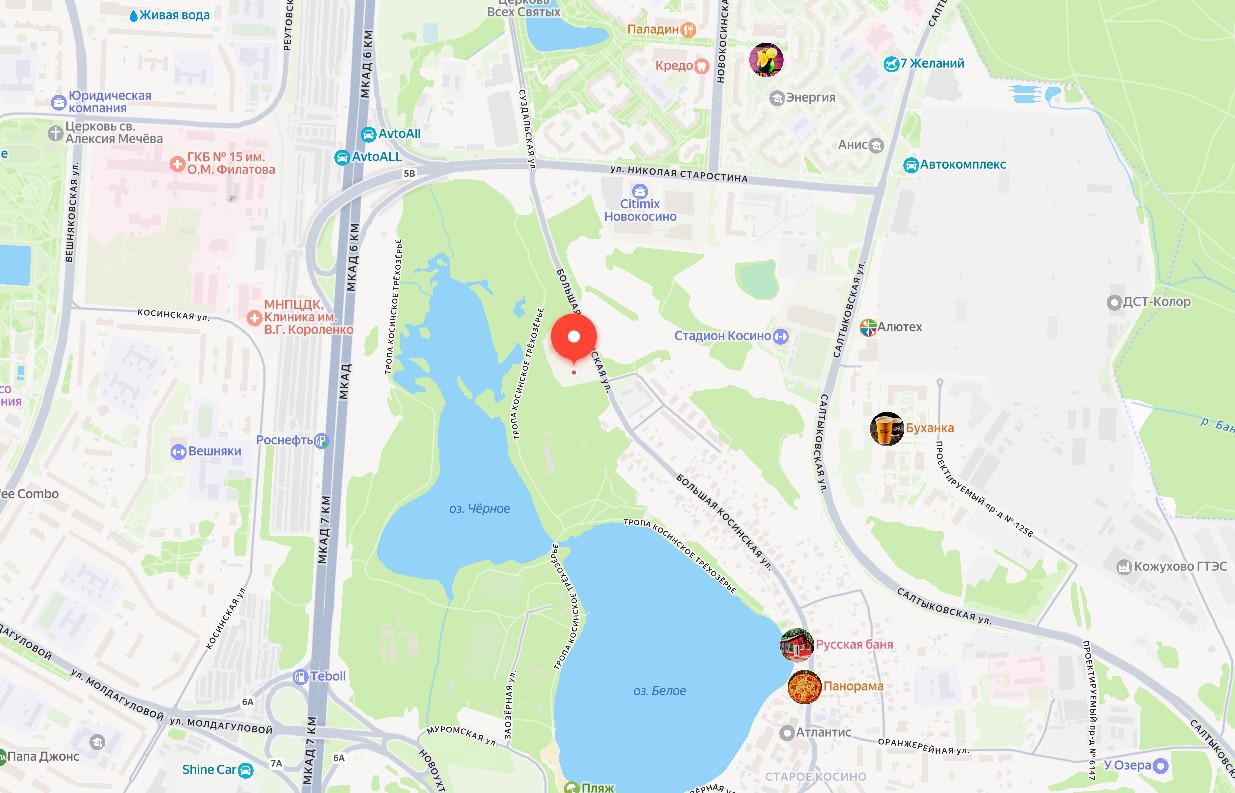 ГП16936594.Некапитальный объект.Положение объекта относительно близлежащих дорог или автомагистралей_2.jpg