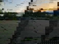 ГП16936594.Некапитальный объект.Общий вид объекта_7.jpeg