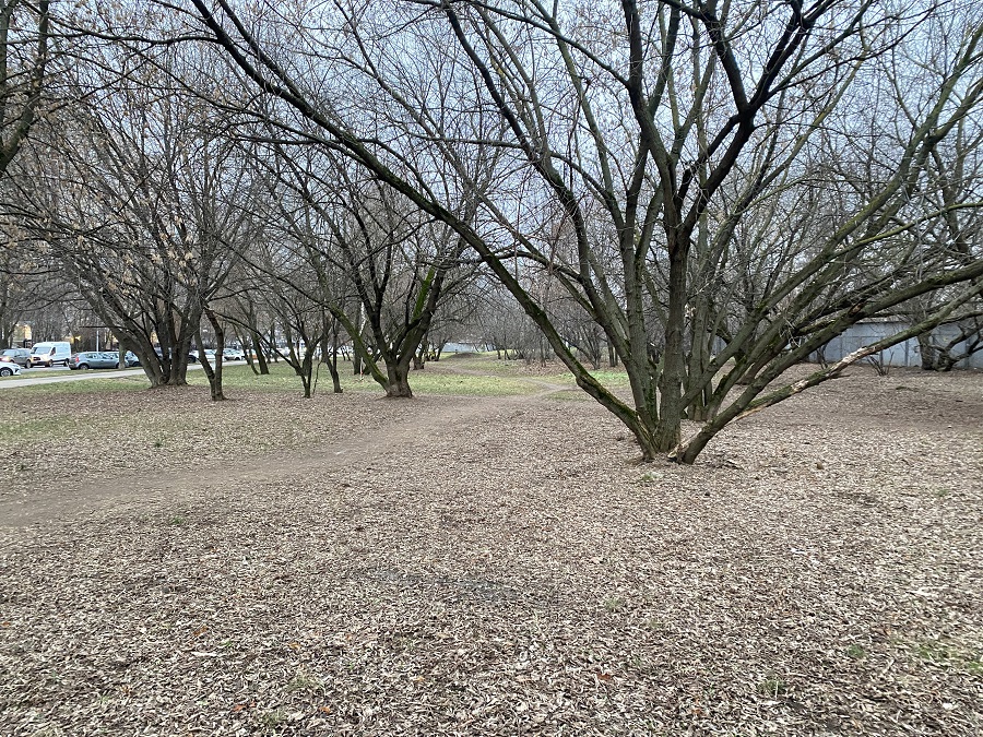 ГП16940134.Некапитальный объект.Общий вид объекта_4.jpg