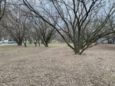 ГП16940134.Некапитальный объект.Общий вид объекта_4.jpg