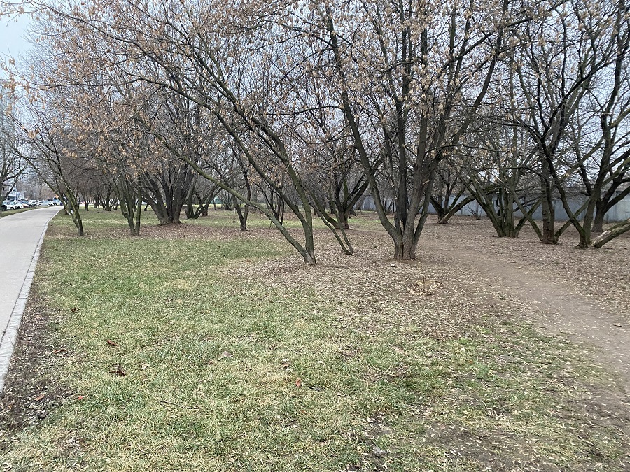 ГП16940134.Некапитальный объект.Общий вид объекта_2.jpg