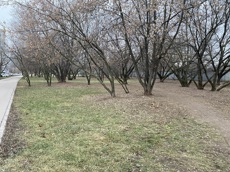 ГП16940134.Некапитальный объект.Общий вид объекта_2.jpg