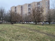 ГП16940134.Некапитальный объект.Общий вид объекта_8.jpg