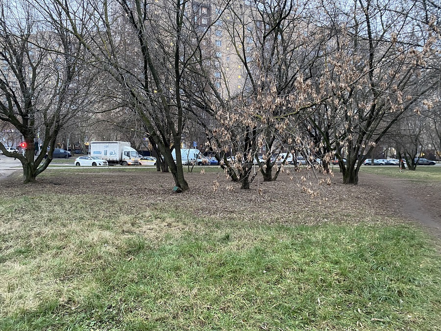 ГП16940134.Некапитальный объект.Общий вид объекта_5.jpg