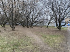 ГП16940134.Некапитальный объект.Общий вид объекта_3.jpg