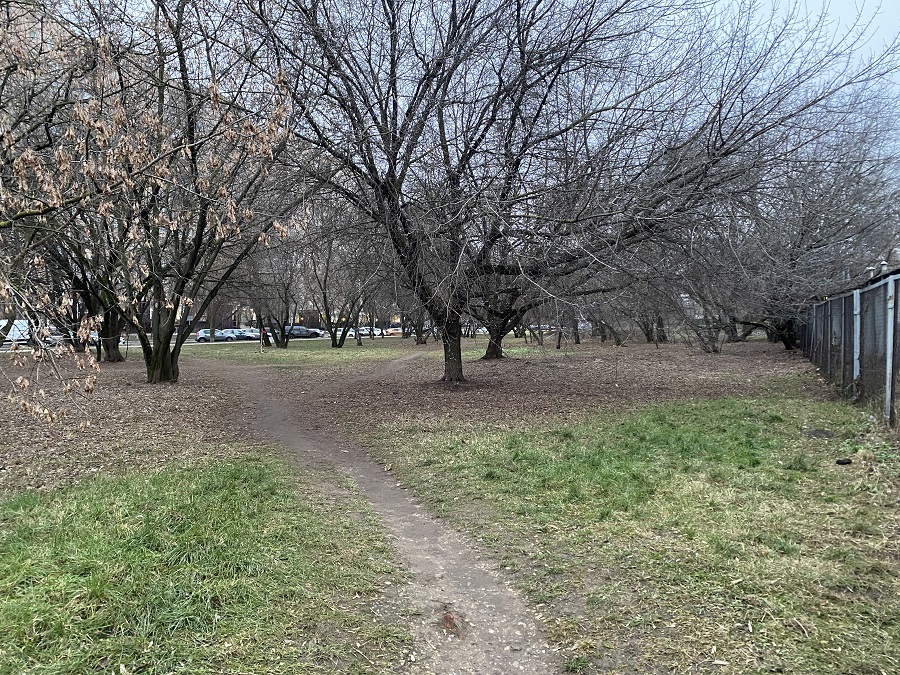 ГП16940134.Некапитальный объект.Общий вид объекта_6.jpg