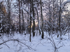 ГП16984439.Земельный участок.Общий вид объекта_8.jpg