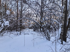 ГП16984439.Земельный участок.Общий вид объекта_10.jpg
