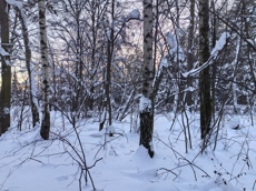 ГП16984439.Земельный участок.Общий вид объекта_9.jpg