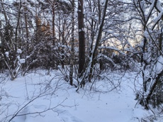 ГП16984439.Земельный участок.Общий вид объекта_10.jpg