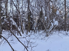 ГП16984439.Земельный участок.Общий вид объекта_10.jpg