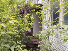 ГП16994234.Здание+земельный участок.Входная группа объекта.jpg