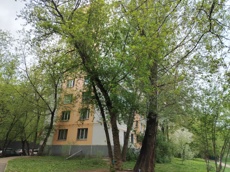 ГП16993963.Квартира.Общий фасад здания_5.jpg