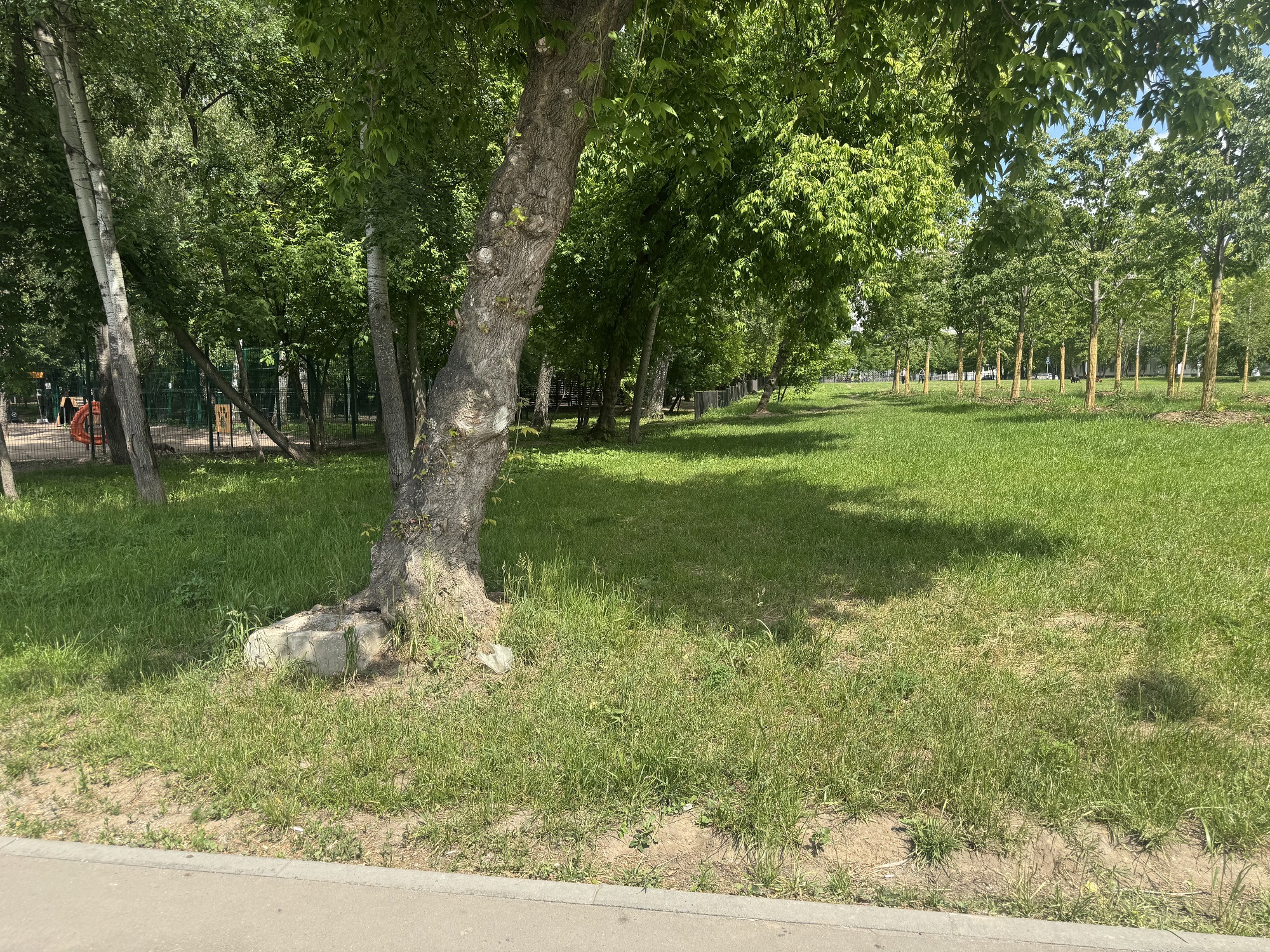 ГП16999939.Некапитальный объект.Общий вид объекта_6.jpg