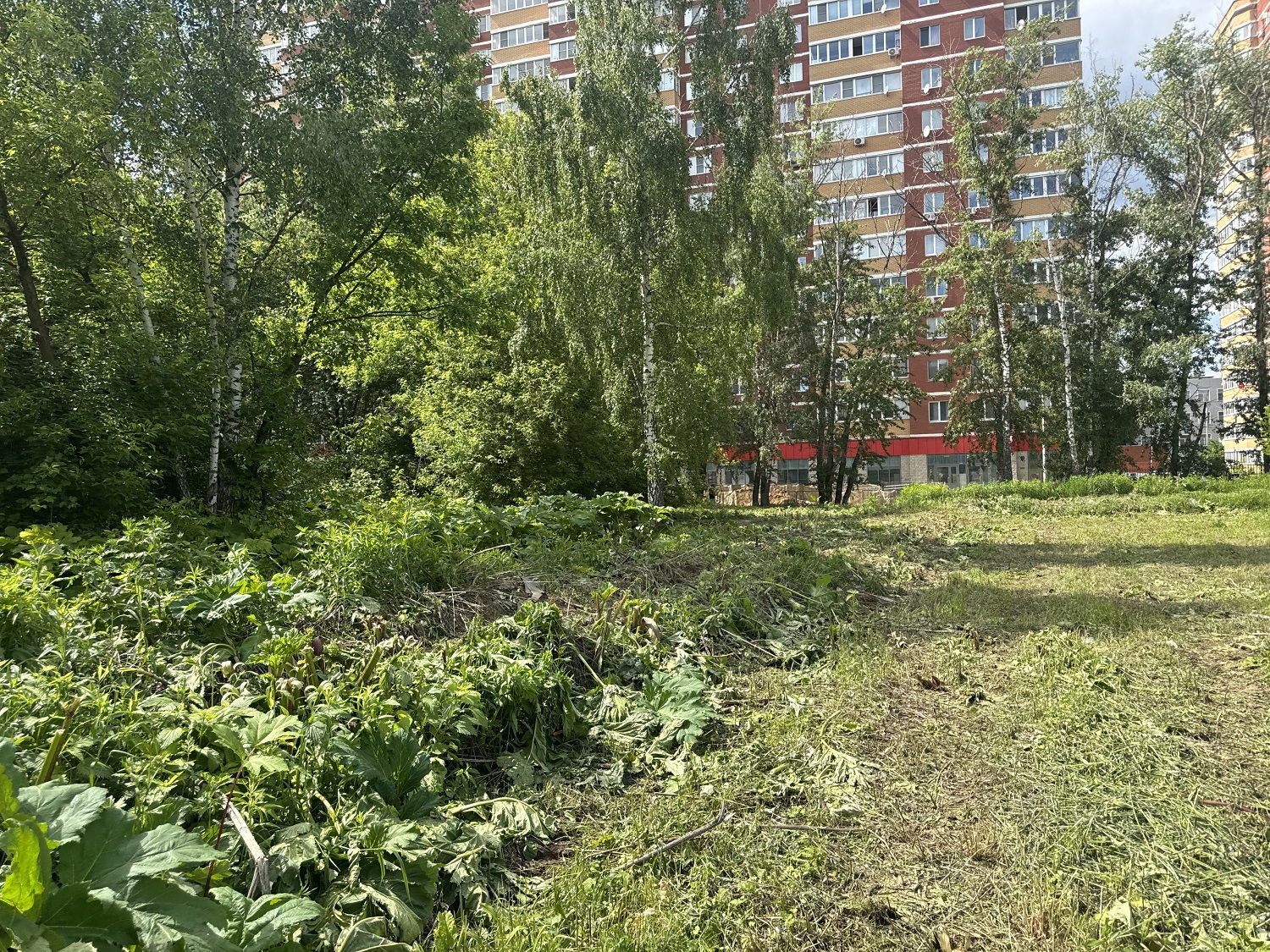 ГП16982067.Некапитальный объект.Общий вид объекта_5.jpg