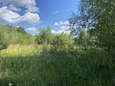 ГП16953575.Некапитальный объект.Общий вид объекта_10.jpeg