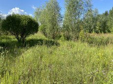ГП16953575.Некапитальный объект.Общий вид объекта_7.jpeg
